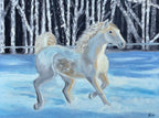 Horse in the Snow